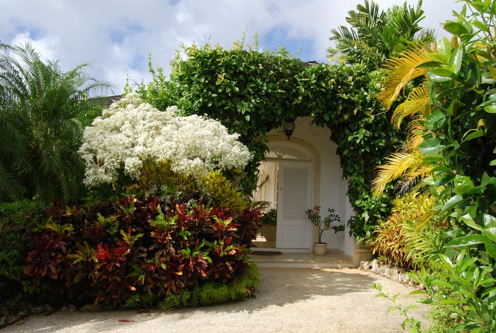 Main image of property: Westmoreland, St James