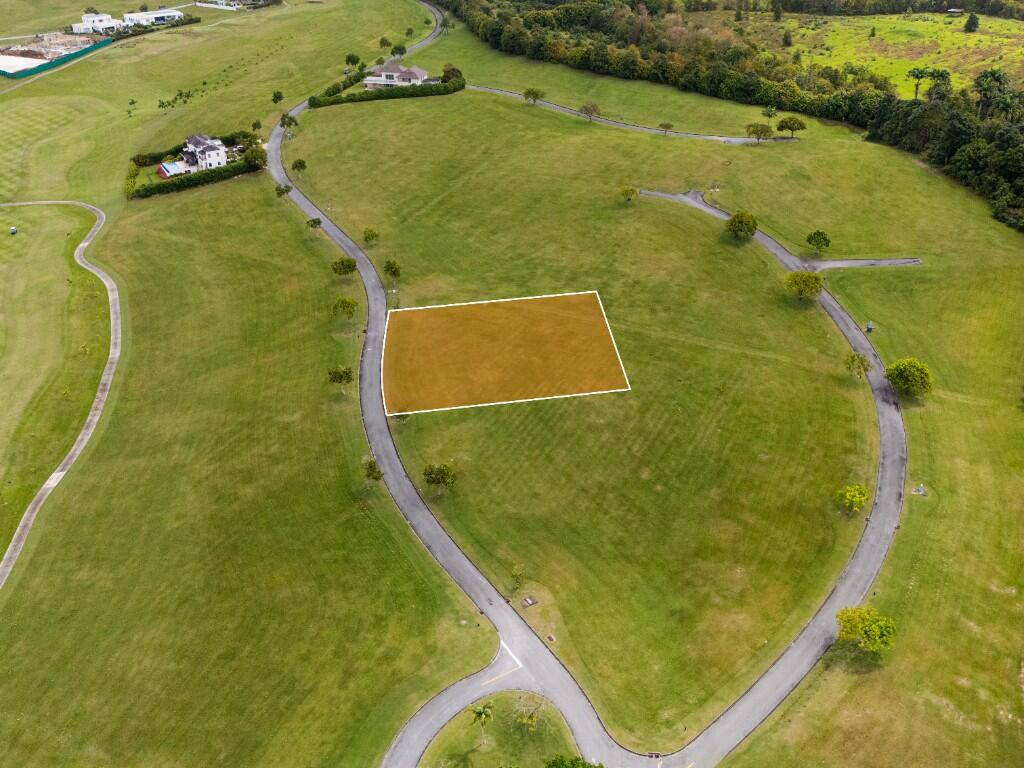 Main image of property: Apes Hill, St James