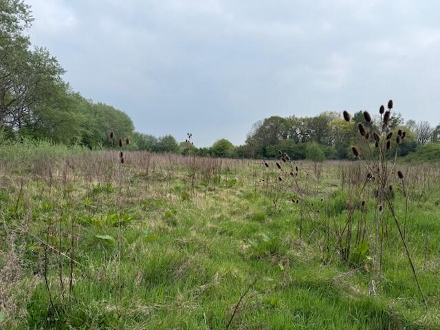 Main image of property: Southend Lane, Newent, Gloucestershire, GL18