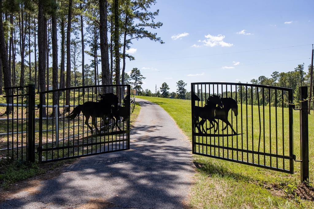 Main image of property: Georgia, Talbot County, Junction City
