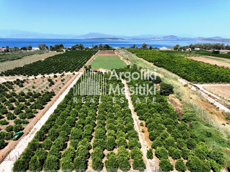 Main image of property: Peloponnese, Argolis, Iria