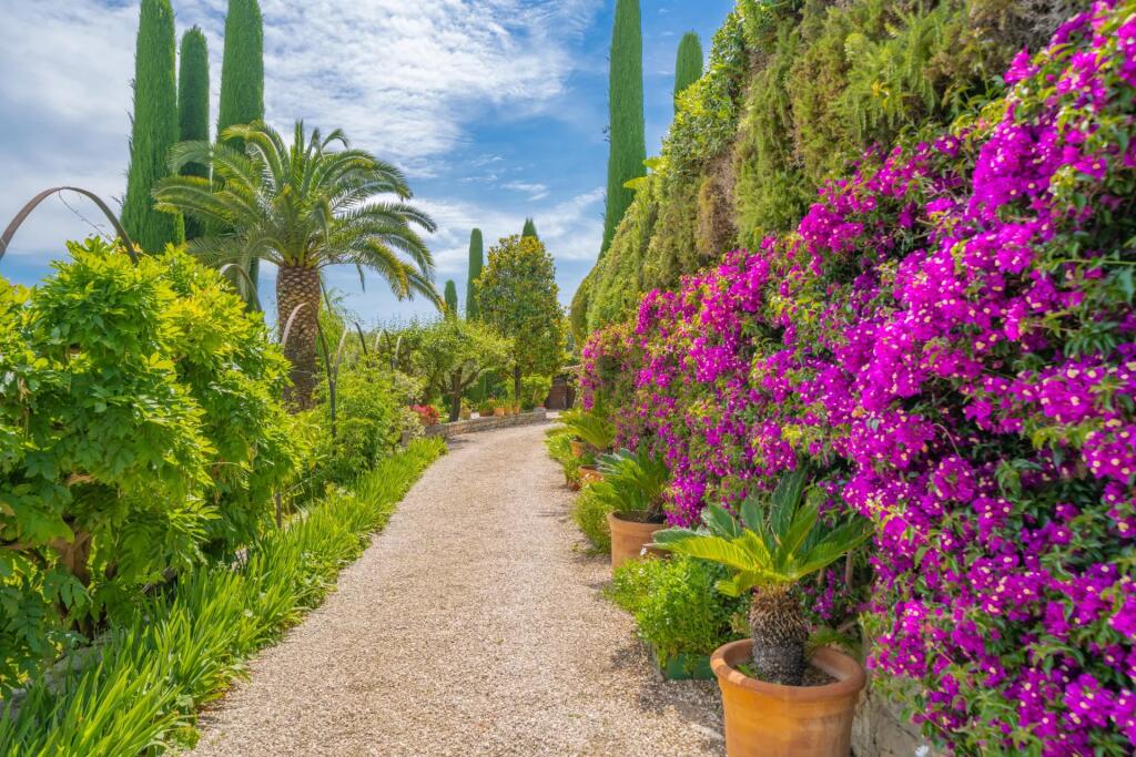 Main image of property: Provence-Alps-Cote d`Azur, Alpes-Maritimes, Mougins