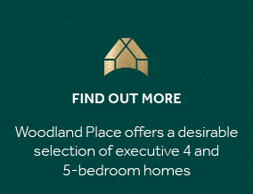 Get brand editions for Stonebridge Homes