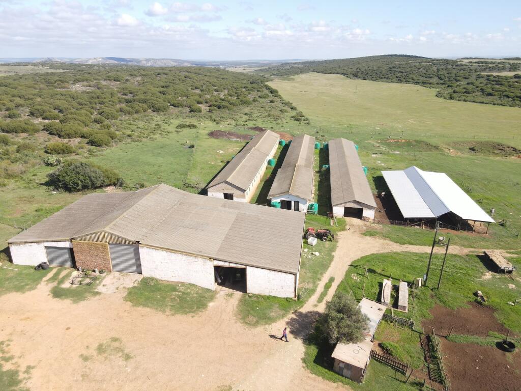 Main image of property: Western Cape, Stilbaai