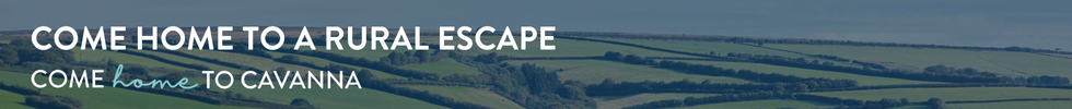Cavanna, Hollywell Meadow, North Molton