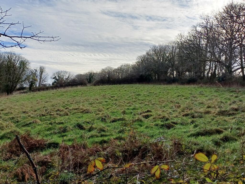 Main image of property: Land At Polgooth, Ricketts Lane, Polgooth, St. Austell, Cornwall, PL26 7DA