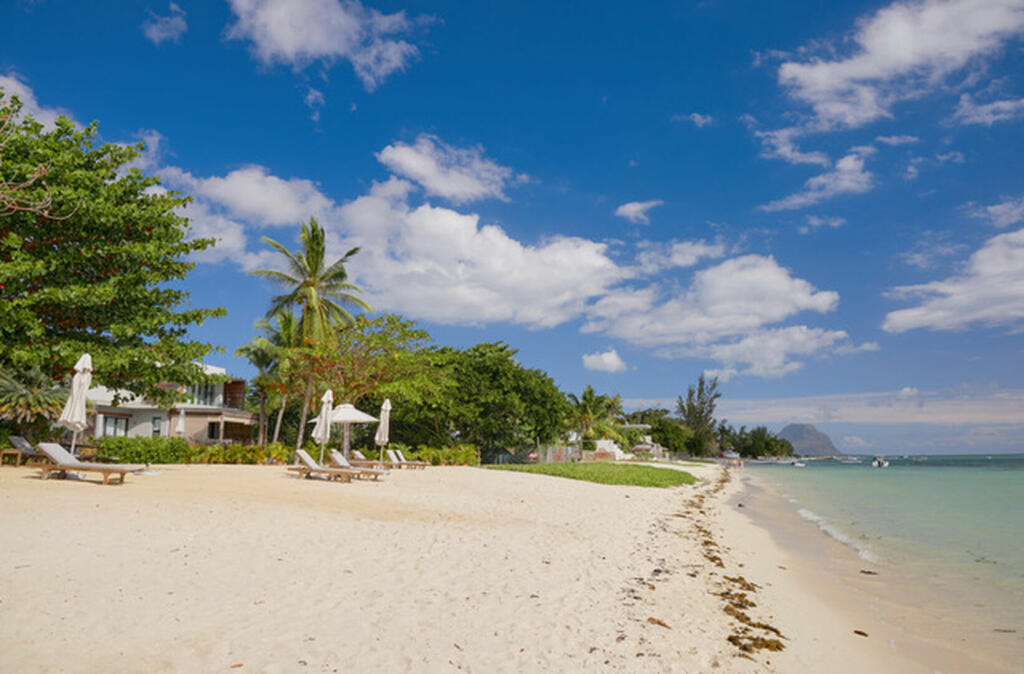 Main image of property: Rivière Noire - Black River