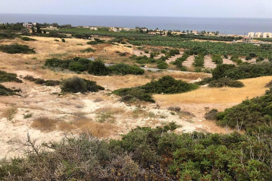 Main image of property: Paphos, Peyia