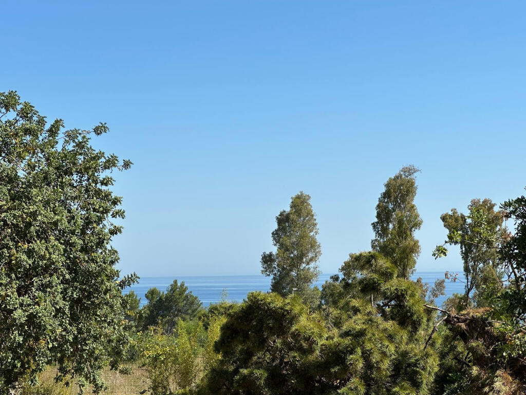 Main image of property: Andalucia, Malaga, Marbella