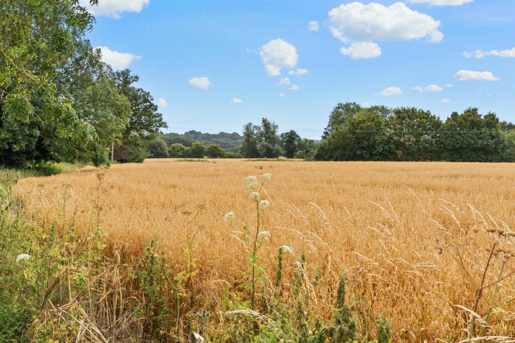 Additional property image - Fyfield Road, Ongar, CM5 0HQ