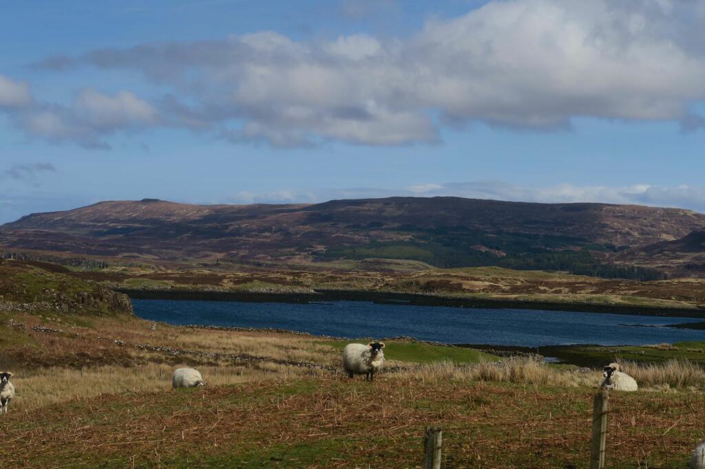 Main image of property: Plot A 11 Skinidin Dunvegan Isle of Skye Highland IV55 8ZS