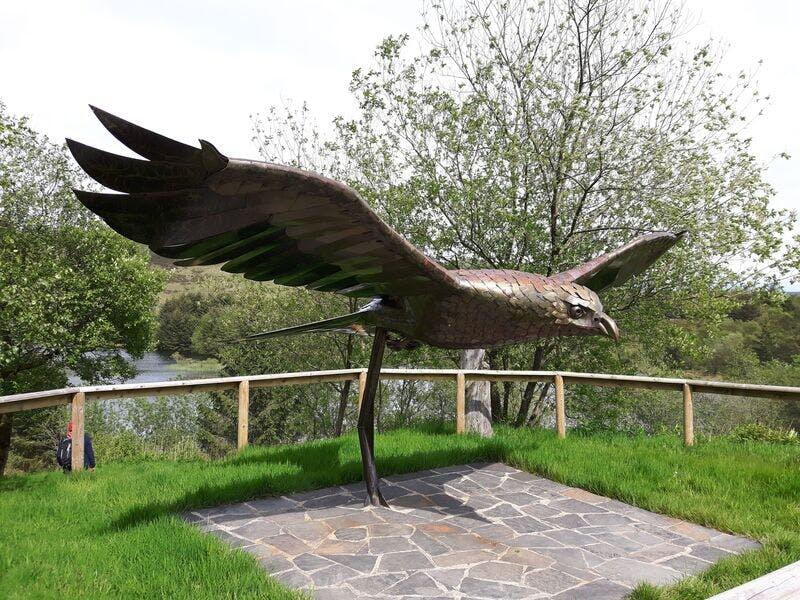 43747_bwlch nant yr arian_natural resources wales_no restrictions_n_a.jpg