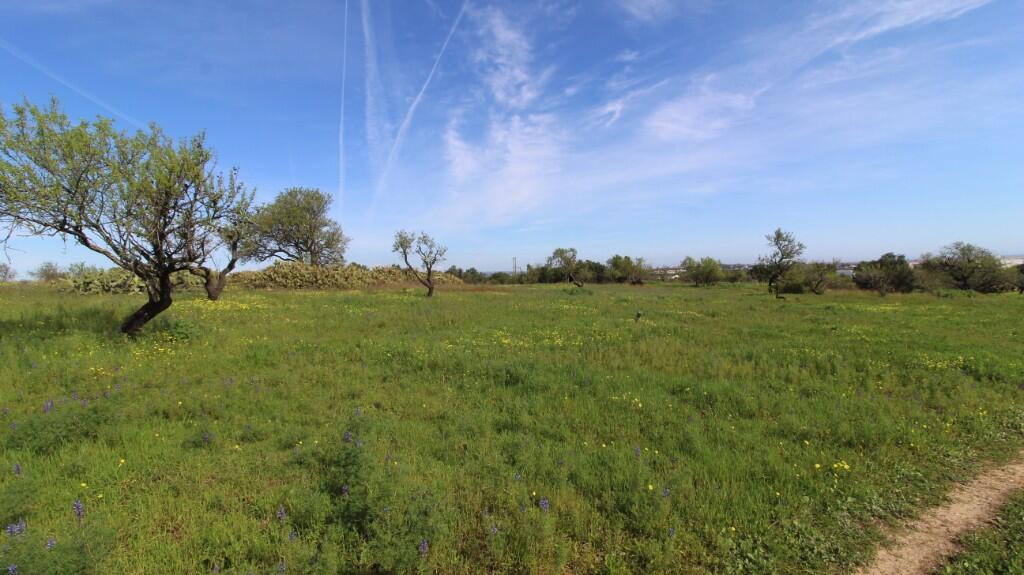 Main image of property: Fuzeta, Algarve