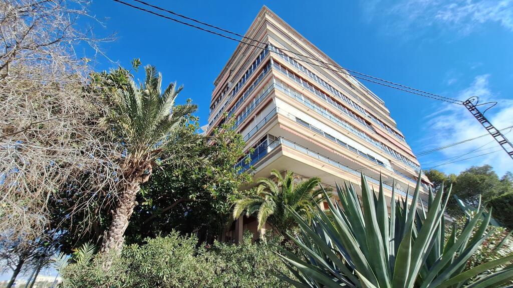 Main image of property: Valencia, Alicante, Alicante
