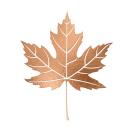 Maplewood Property, London Estate Agent Logo