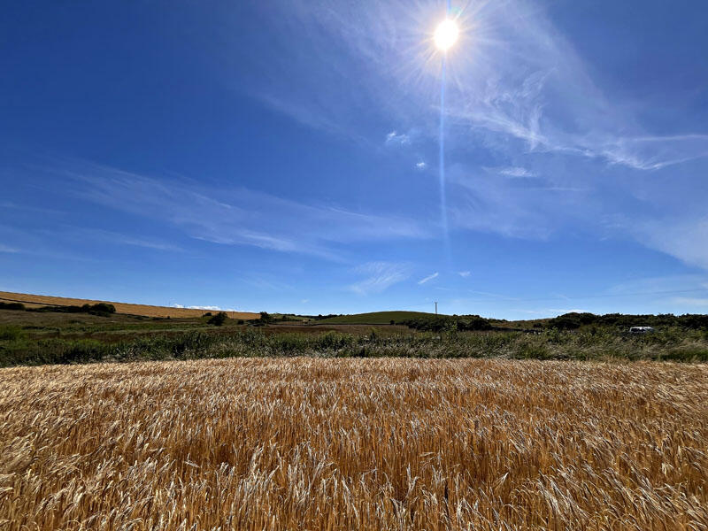 Additional property image - Land at Little Balsier