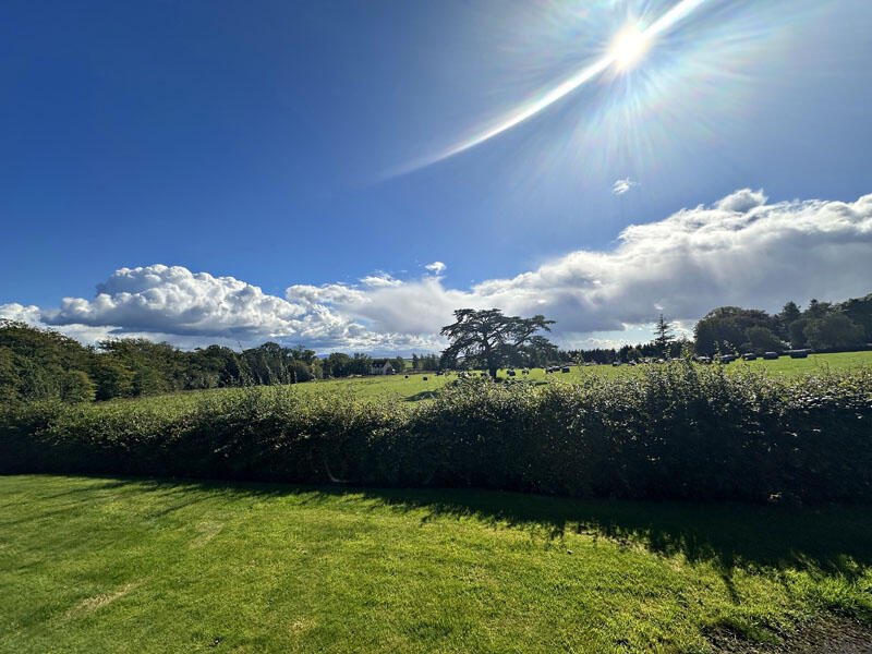 Additional property image - The Birches