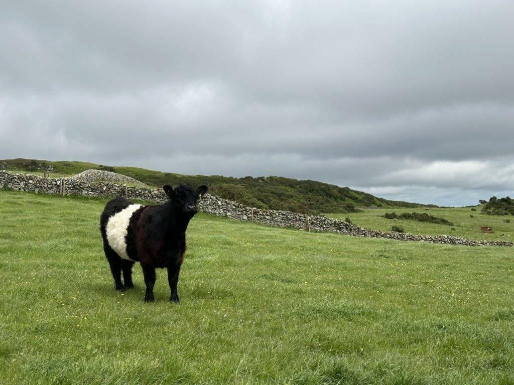 Additional property image - HIgh Auchenlarie & Holecroft Farms