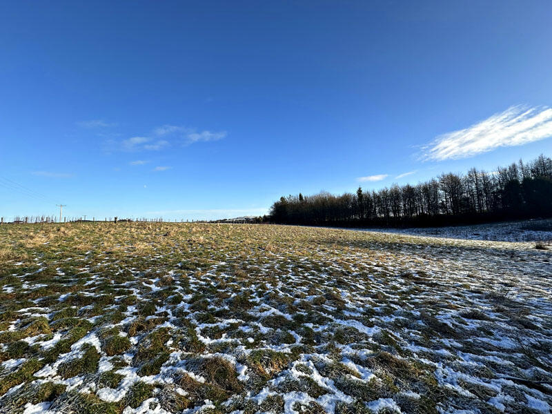 Additional property image - Knockwalloch Cottage, Kirkpatrick Durham, Castle Douglas, DG7