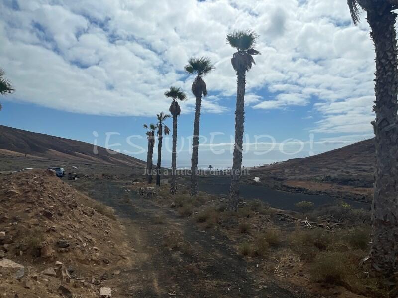 Main image of property: Canary Islands, Lanzarote, Haria