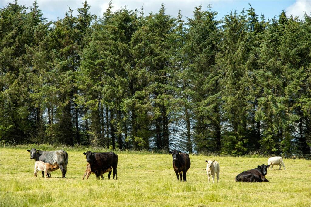 Additional property image - Old Mill Farm, Strichen, Fraserburgh, Aberdeenshire, AB43