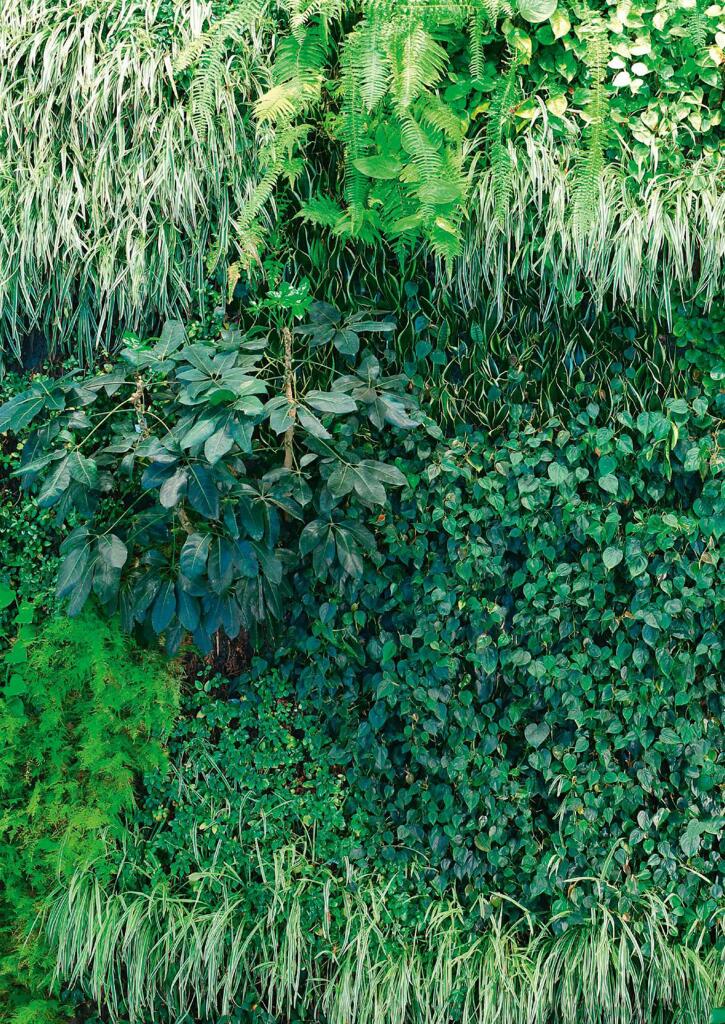 Liuving wall image.jpg