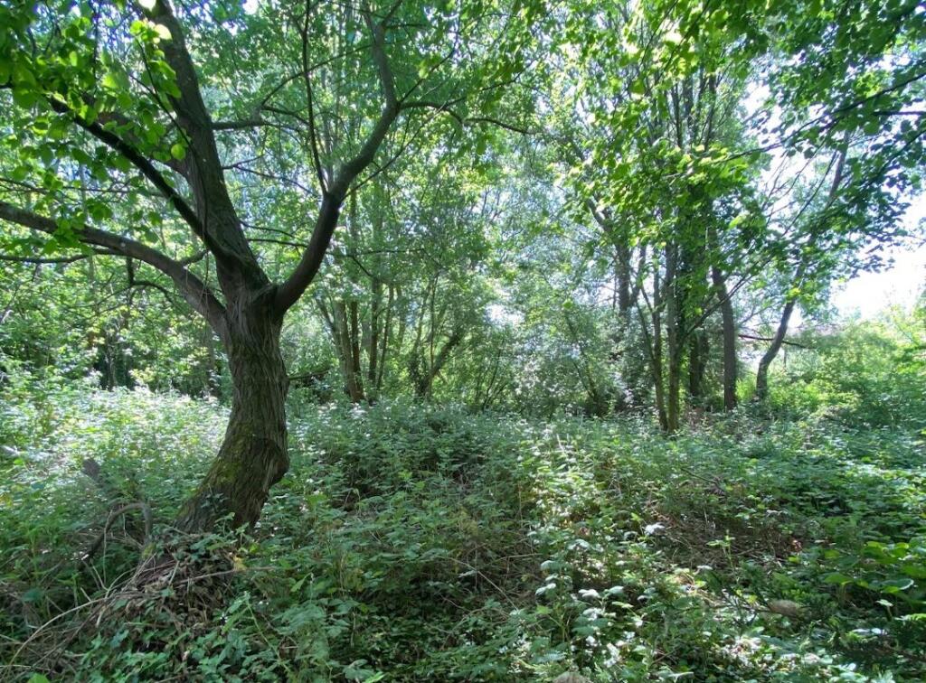 Main image of property: Plot 3, 45 Lower Road, Salisbury, Wiltshire, SP2 9NF