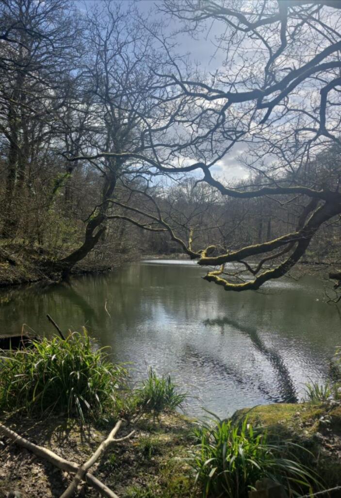 Main image of property: Brokes Wood Lake, Powder Mill Lane, Southborough, Tunbridge Wells, Kent, TN4 9EG