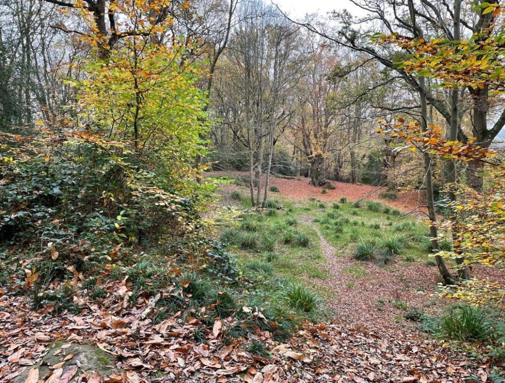 Main image of property: Woodland Plot Off, Powder Mill Lane, Tunbridge Wells, Kent, TN4 9EG