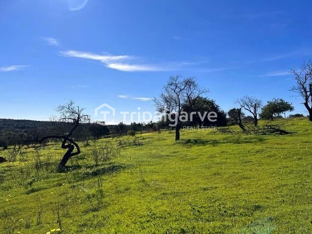 Main image of property: Algarve, Loulé