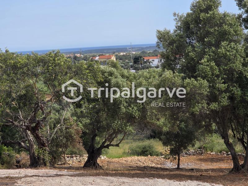 Main image of property: Algarve, Loulé
