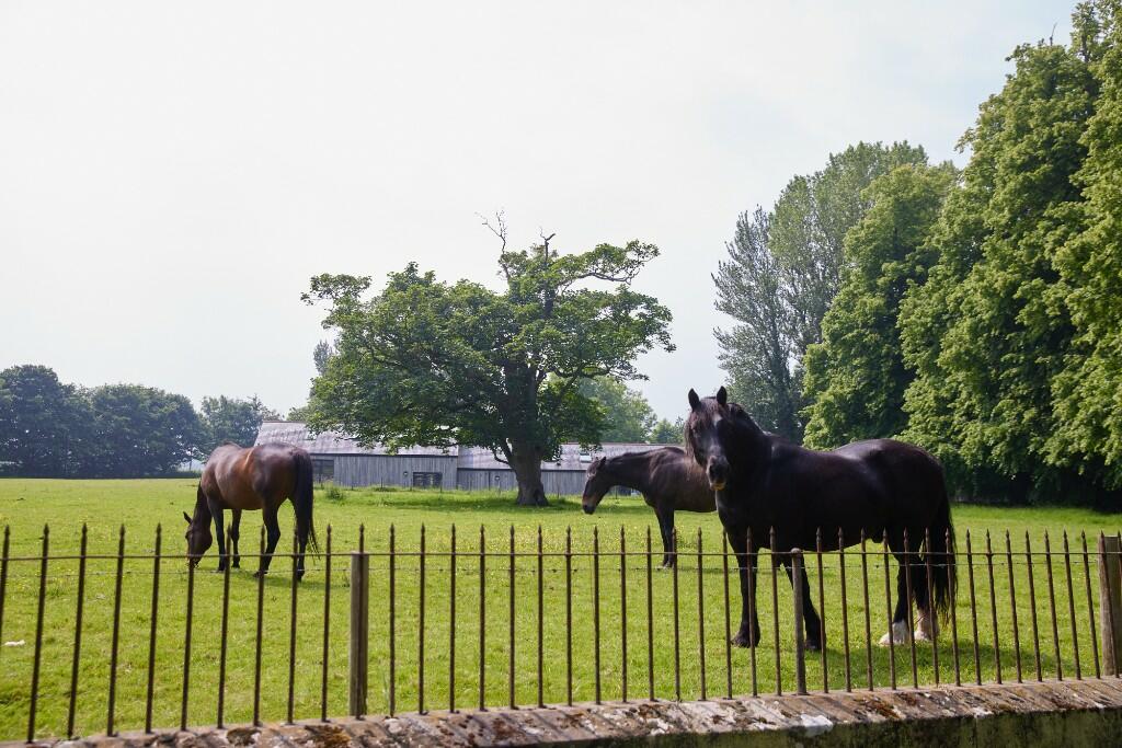 Additional property image - Manor Farm,
Crofton,
Thursby,
Carlisle,
CA5 6QB