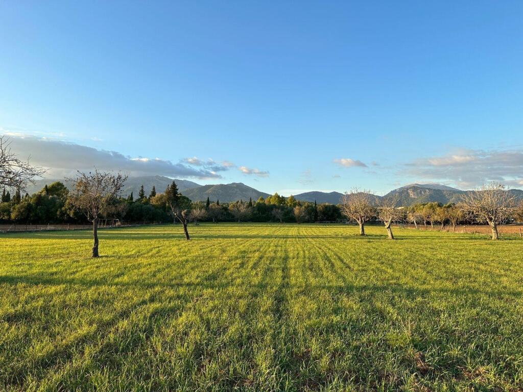 Main image of property: Balearic Islands, Mallorca, Selva