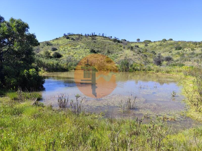 Main image of property: Algarve, Conceição E Cabanas De Tavira