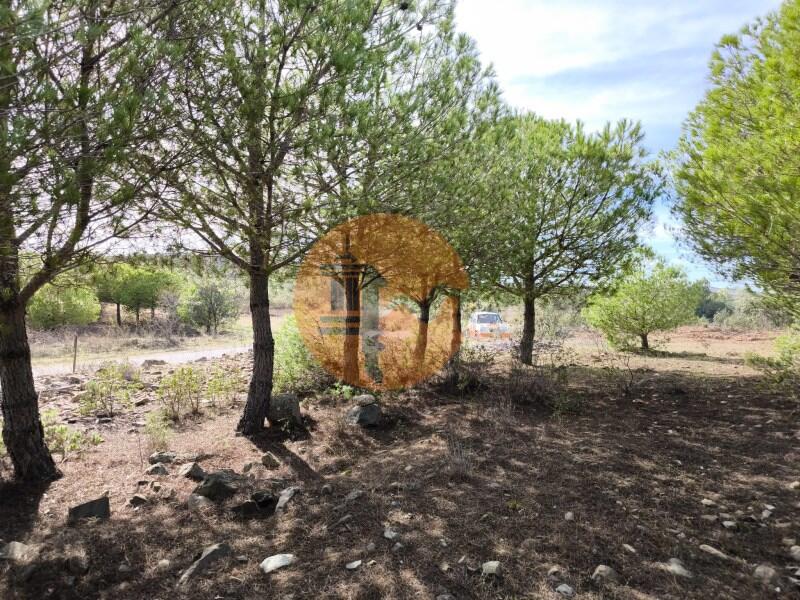 Main image of property: Algarve, Alcoutim