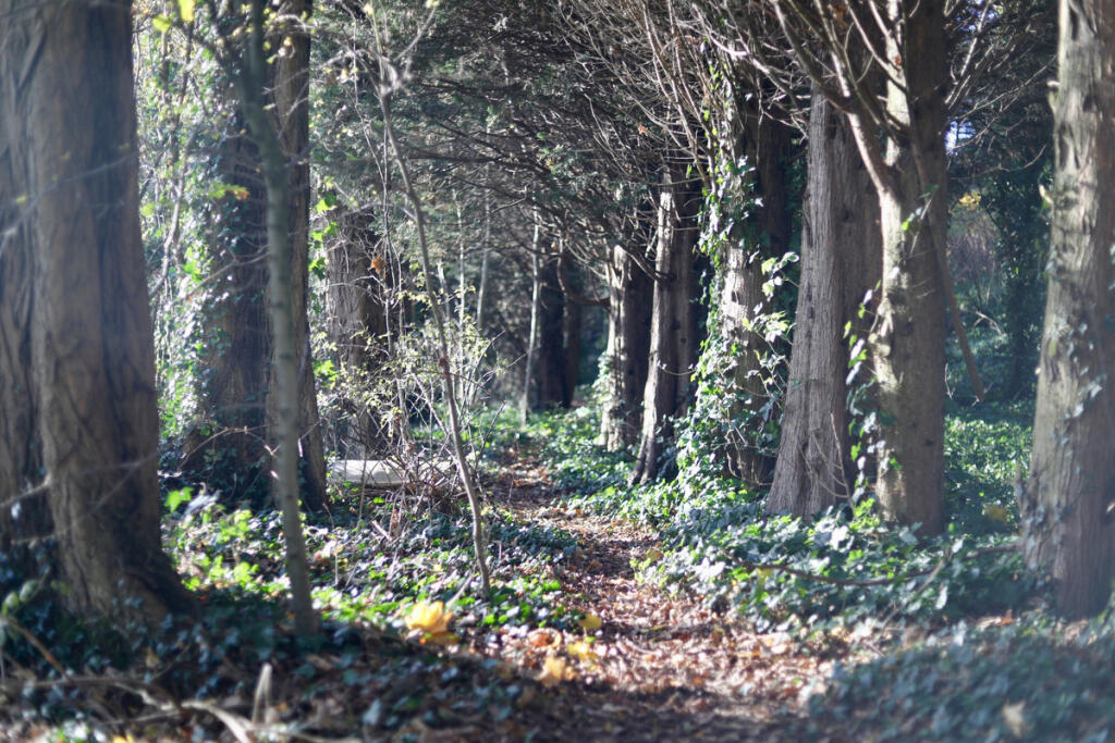 Main image of property: Sparrey Drive, Birmingham, B30