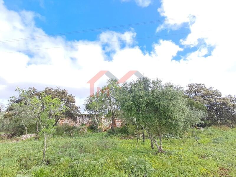 Main image of property: Algarve, Loulé
