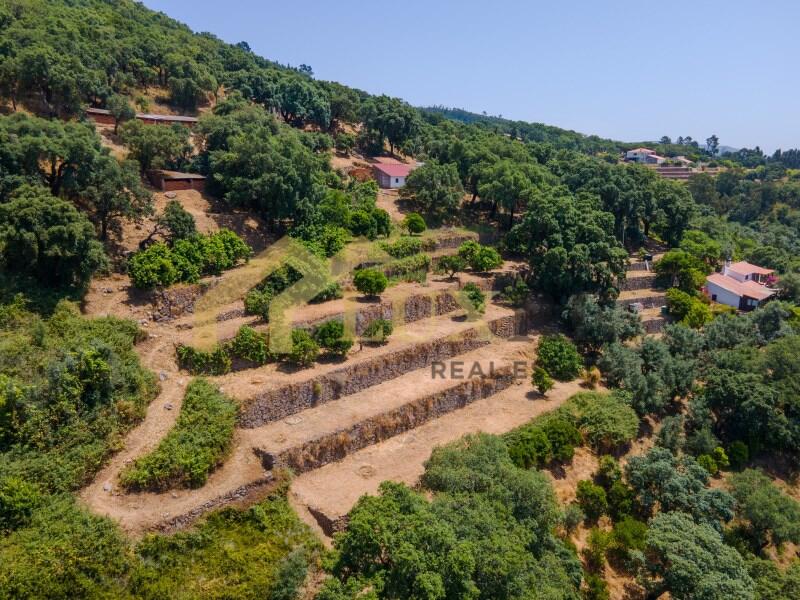 Main image of property: Algarve, Monchique