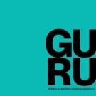 London Property Guru logo