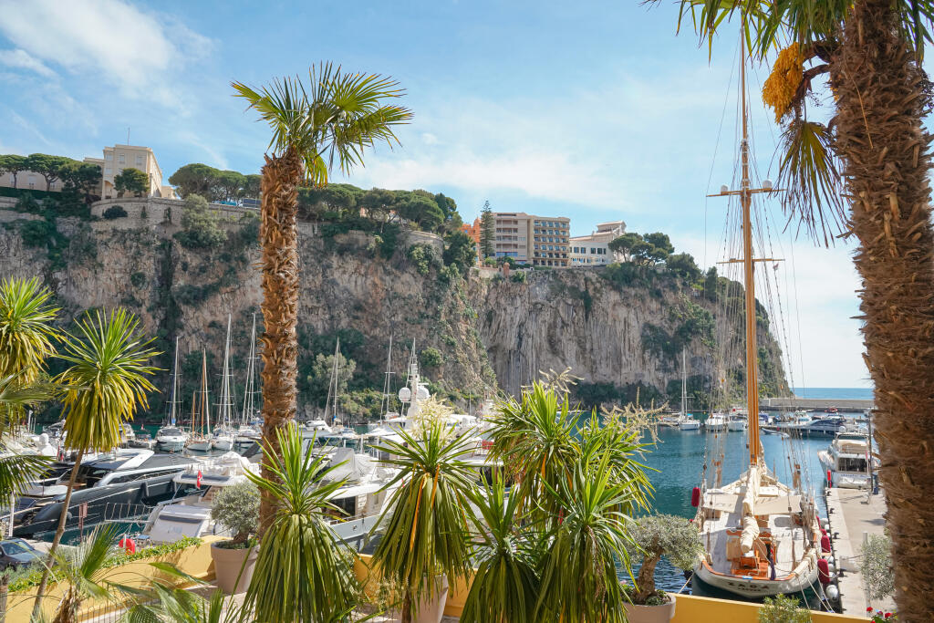 Main image of property: Monaco