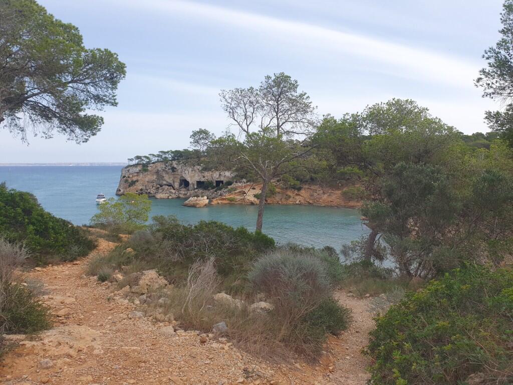 Main image of property: Balearic Islands, Mallorca, Portals Vells