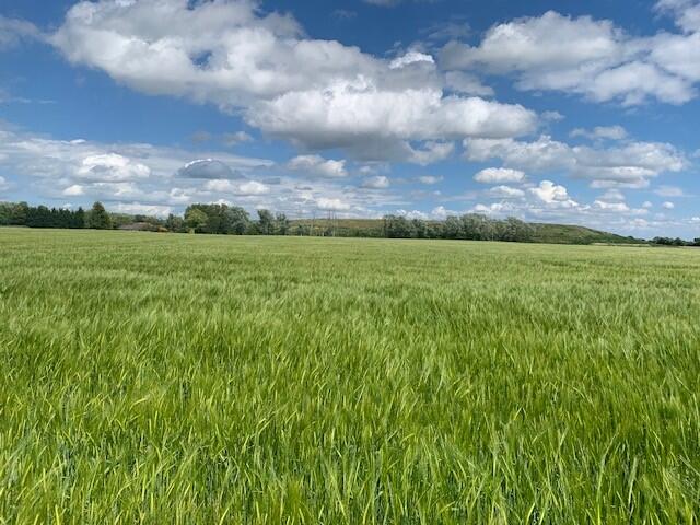Main image of property: Gilberdyke, Nr Howden, HU15
