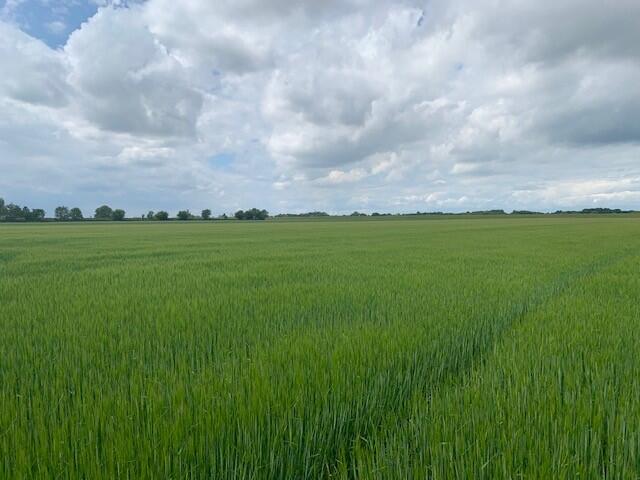 Main image of property: 26.3 ACRES ARABLE LAND, SWINEFLEET, DN14