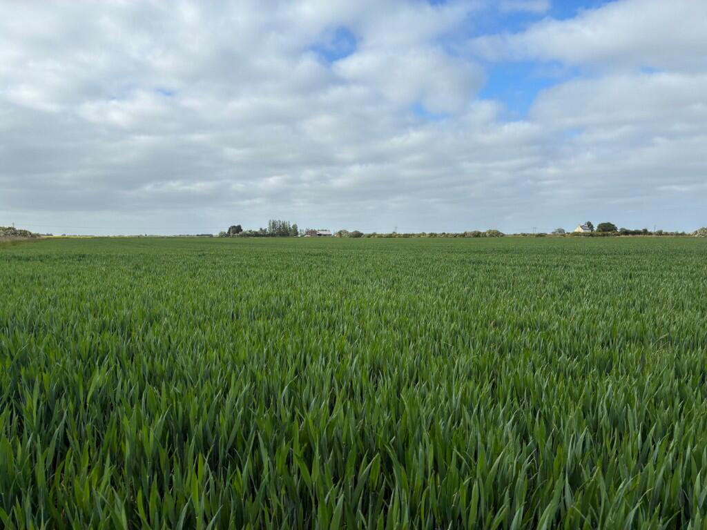 Main image of property: 56.21 acres Land at Saltfleetby St Peter