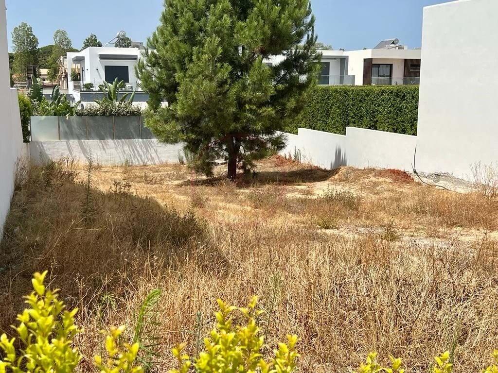 Main image of property: Algarve, Loulé