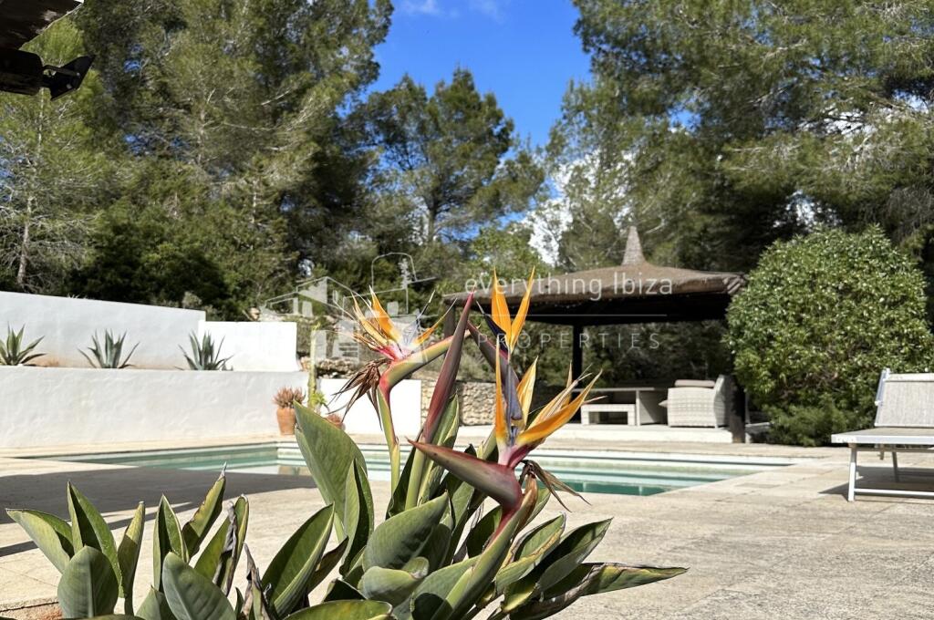 Main image of property: Balearic Islands, Ibiza, San Jose