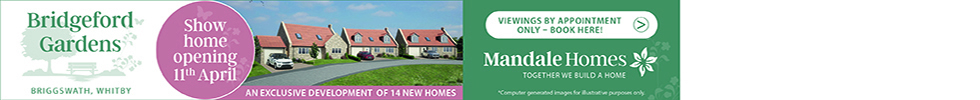 Mandale Homes, Briggswath