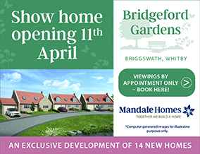 Get brand editions for Mandale Homes