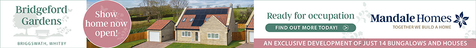 Get brand editions for Mandale Homes