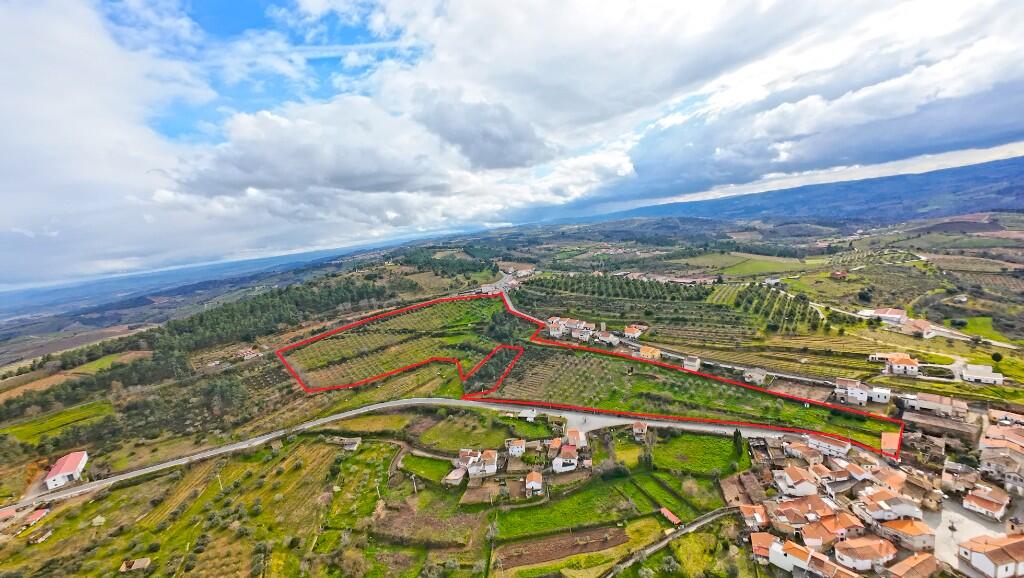 Main image of property: Meda, Beira Alta